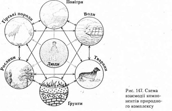 схема взаємодії компонентів природного комплексу
