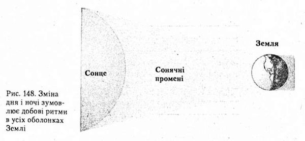 зміна дня і ночі зумовлює добові ритми в усіх оболонках землі