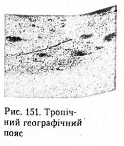 тропічний географічний пояс
