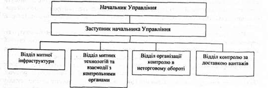 структура управління організації митного контролю дсму