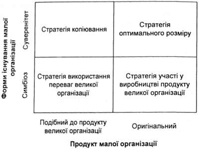 основні види стратегії малої організації