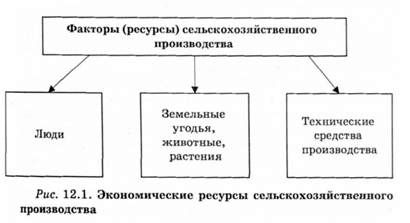 экономические ресурсы сельскохозяйственного производства 