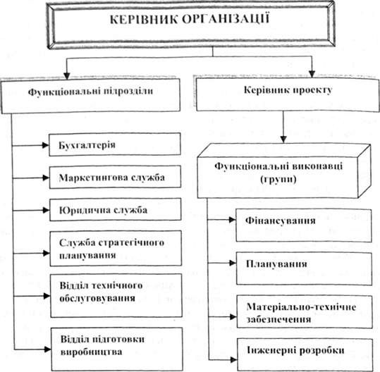 структура проектного управління