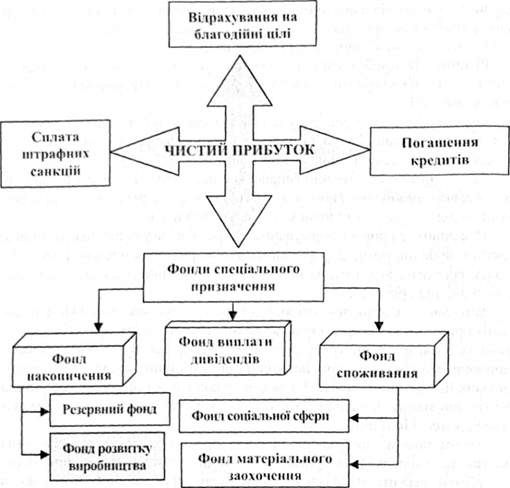 схема розподілу чистого прибутку
