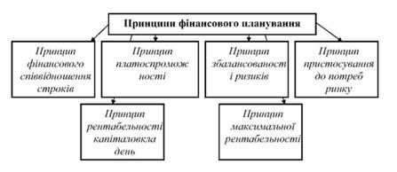 принципи фінансового планування