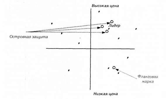стратегии позиционирования для новых товаров компаний-лидеров рынка