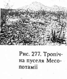 тропічна пустеля месопотамії