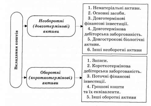 структура активів підприємства