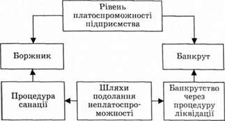шляхи подолання неплатоспроможності підприємства
