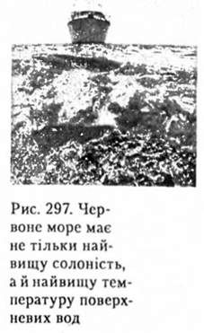 червоне море має не тільки найвищу солоність, а й найвищу температуру поверхневих вод