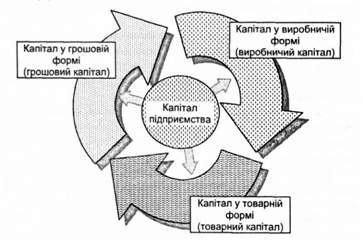 кругообіг фінансового капіталу підприємства