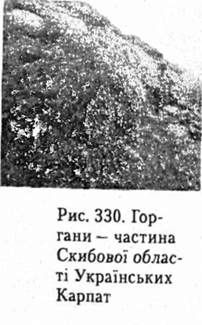 горгани - частина скибової області українських карпат