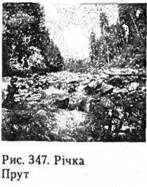 річка прут