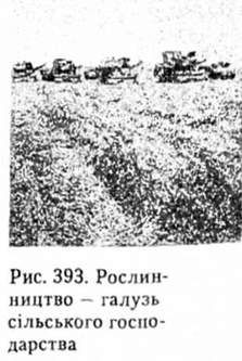 рослинництво - галузь сільського господарства