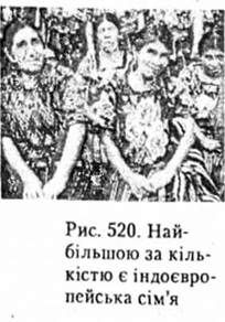 найбільшою за кількістю є індоєвропейська сімя