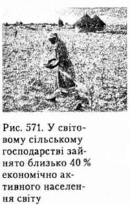 у світовому сільському господарстві зайнято близько 40% економічно активного населення світу