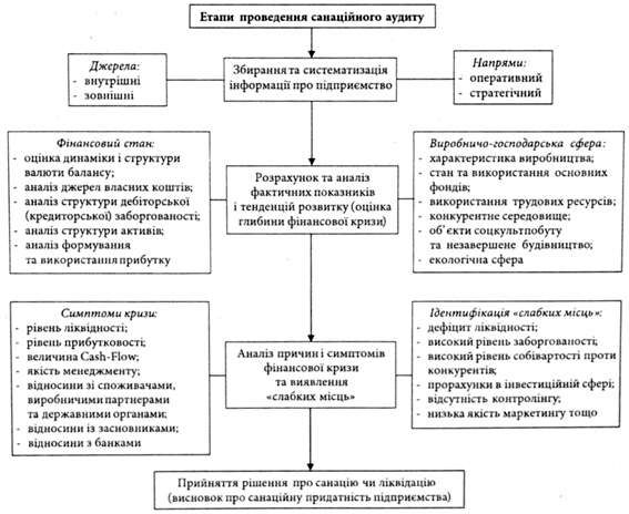 структурно-логічна схема проведення санаційного аудиту