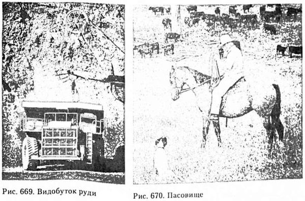 видобуток руди. пасовище.